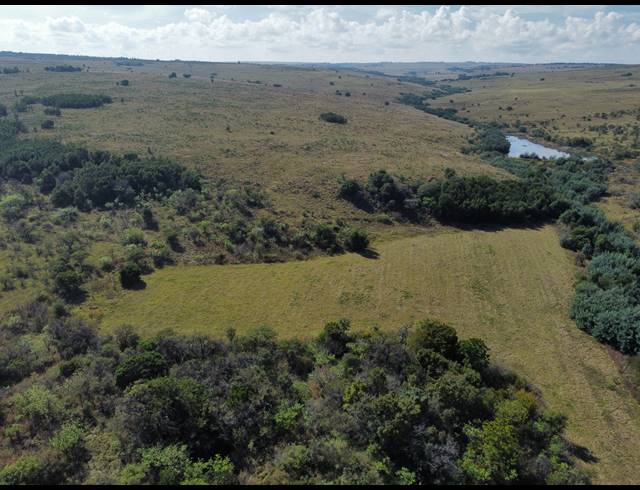 254HA FARM FOR SALE IN MIDDELBURG RURAL